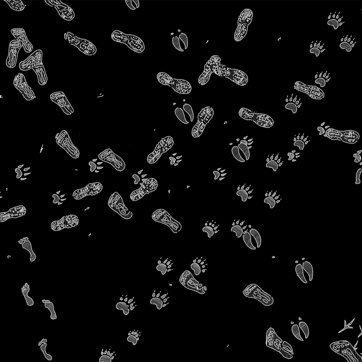 5744b16f339ec5f9eb780f0a28e8ff