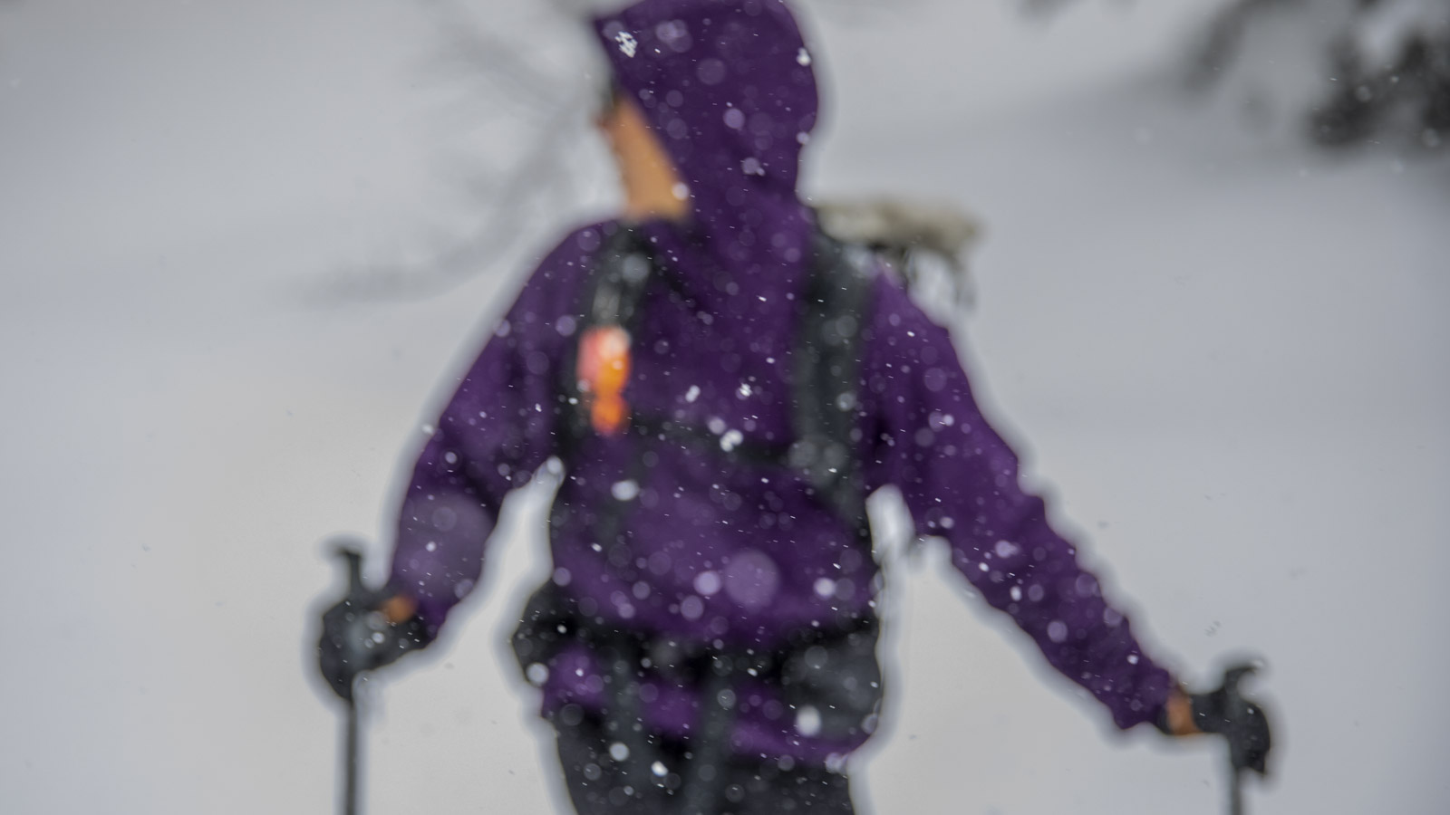 Daisetsuzan / Niseko 